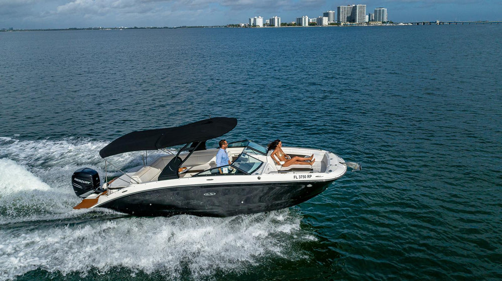 Sea Ray 29 ft.